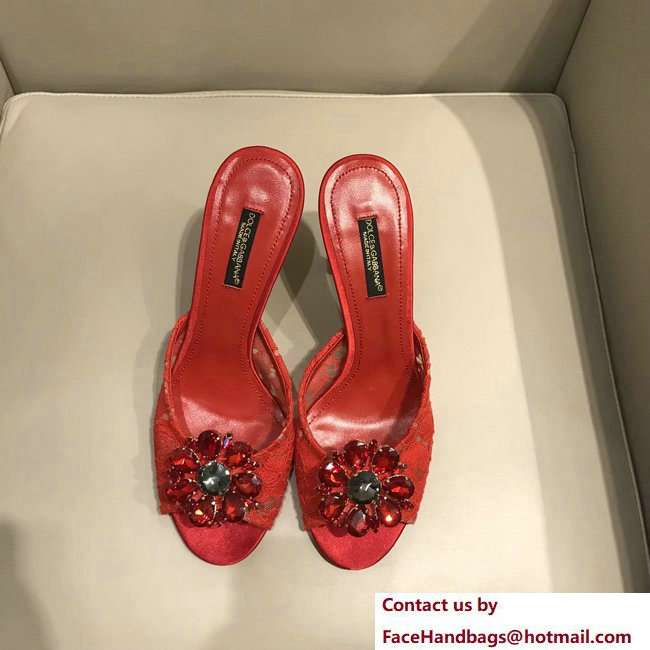 Dolce  &  Gabbana Heel 7cm Slippers Red In Lace With Crystals 2018